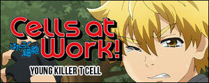 Cells at Work Killer T Cells at Work Killer T